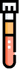Erythrocyte Sedimentation Rate
