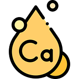 Complete Blood Count (CBC)