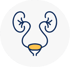Urology