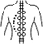 Scoliosis Treatment